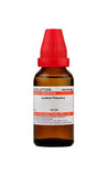 Dr. Willmar Schwabe India Ledum Palustre Dilution - Safuron Naturals