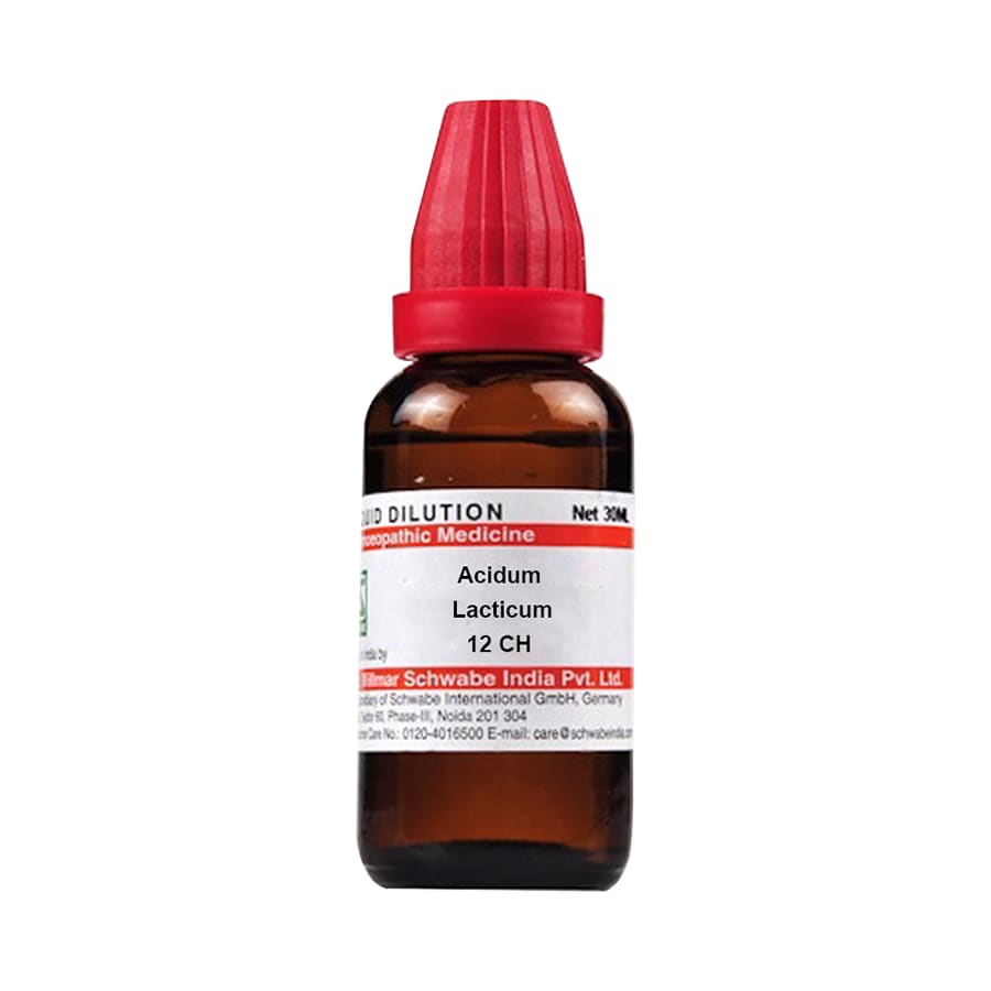 Dr. Willmar Schwabe India Acidum Lacticum Dilution 12 CH Dr. Willmar Schwabe India Acidum Lacticum Dilution 12 CH