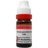 Dr. Reckeweg Hydrocotyle Asiat Dilution - Safuron Naturals