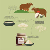 Two Brothers Organic Farms A2 Gir Cow Colostrum Powder Two Brothers Organic Farms