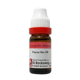 Dr. Reckeweg Fucus Ves Dilution - Safuron Naturals