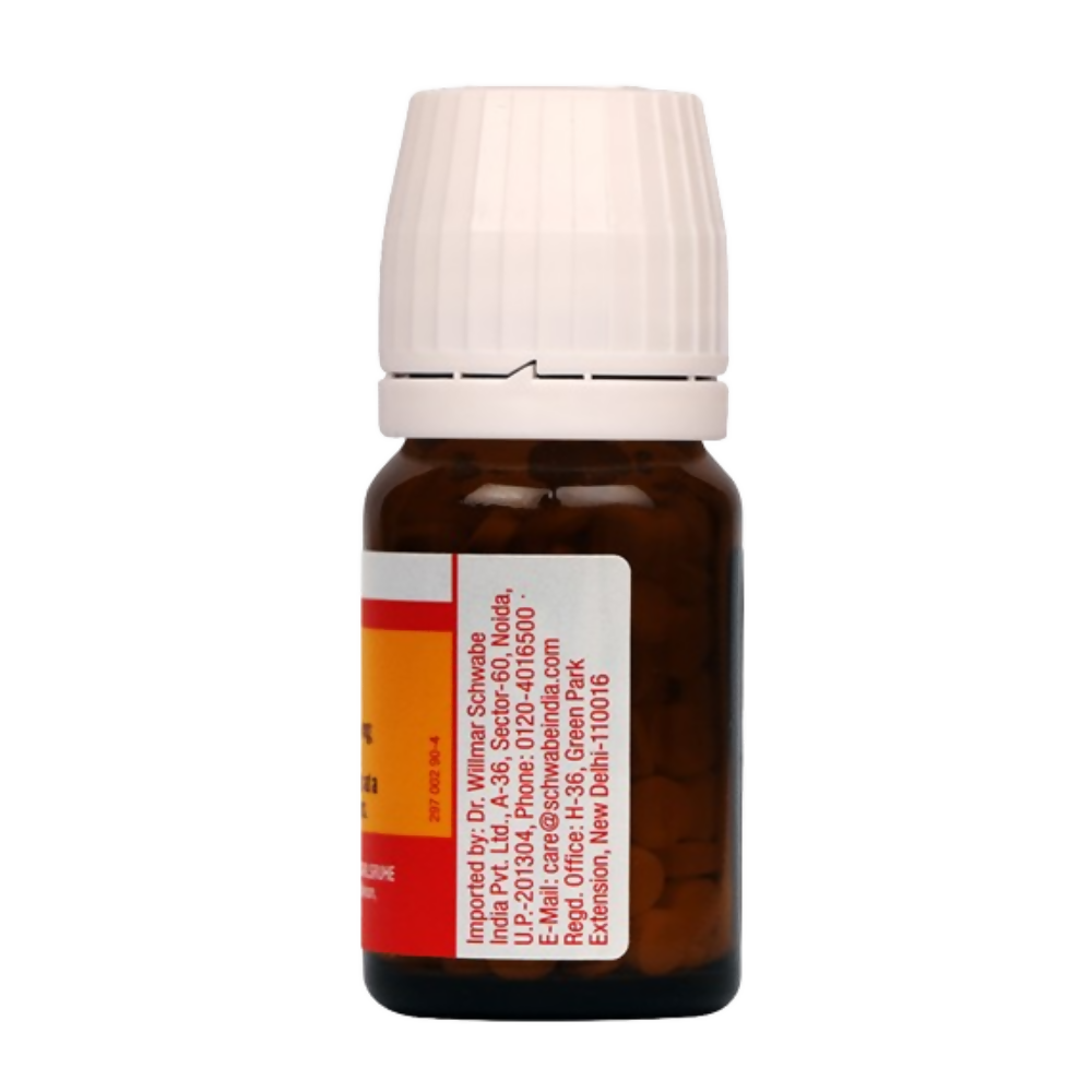 Dr. Willmar Schwabe India Germany Bio-Plasgen 20 Tablets Dr. Willmar Schwabe India Germany Bio-Plasgen 20 Tablets