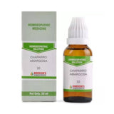 Bakson's Homeopathy Chaparro Amargosa Dilution - Safuron Naturals