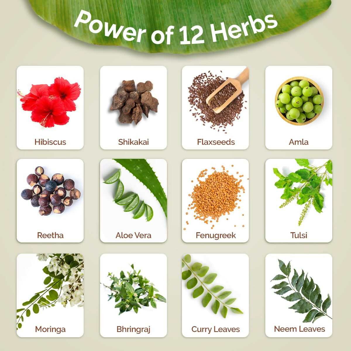 Mamaearth Kerala Thaali Cleansing Hair Mask with Power of 12 Herbs for Thick & Long Hair Mamaearth Kerala Thaali Cleansing Hair Mask with Power of 12 Herbs for Thick & Long Hair