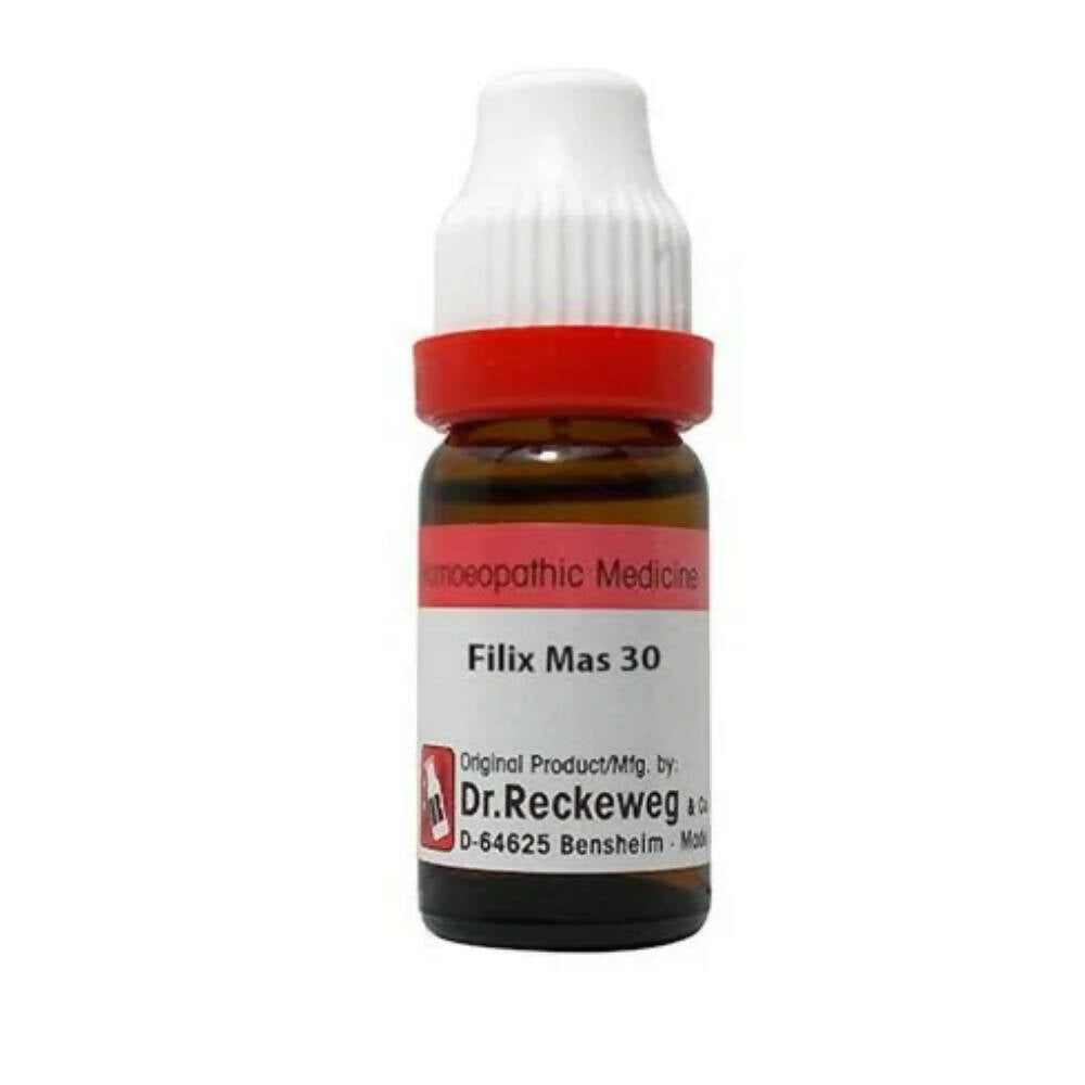 Dr. Reckeweg Filix Mas Dilution - Safuron Naturals Dr. Reckeweg Filix Mas Dilution - Safuron Naturals