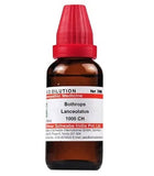 Dr. Willmar Schwabe India Bothrops Lanceolatus Dilution