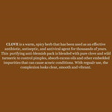 Biotique Bio Clove Purifying Anti Blemish Face Pack