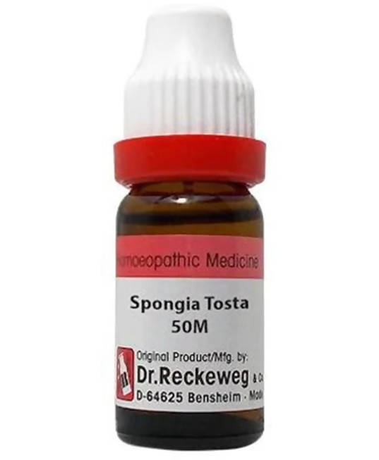 Dr. Reckeweg Spongia Tosta Dilution Dr. Reckeweg Spongia Tosta Dilution