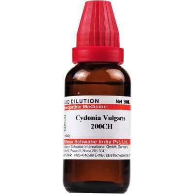 Dr. Willmar Schwabe India Cydonia Vulgaris Dilution Dr. Willmar Schwabe India Cydonia Vulgaris Dilution