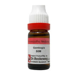 Dr. Reckeweg Gambogia Dilution - Safuron Naturals