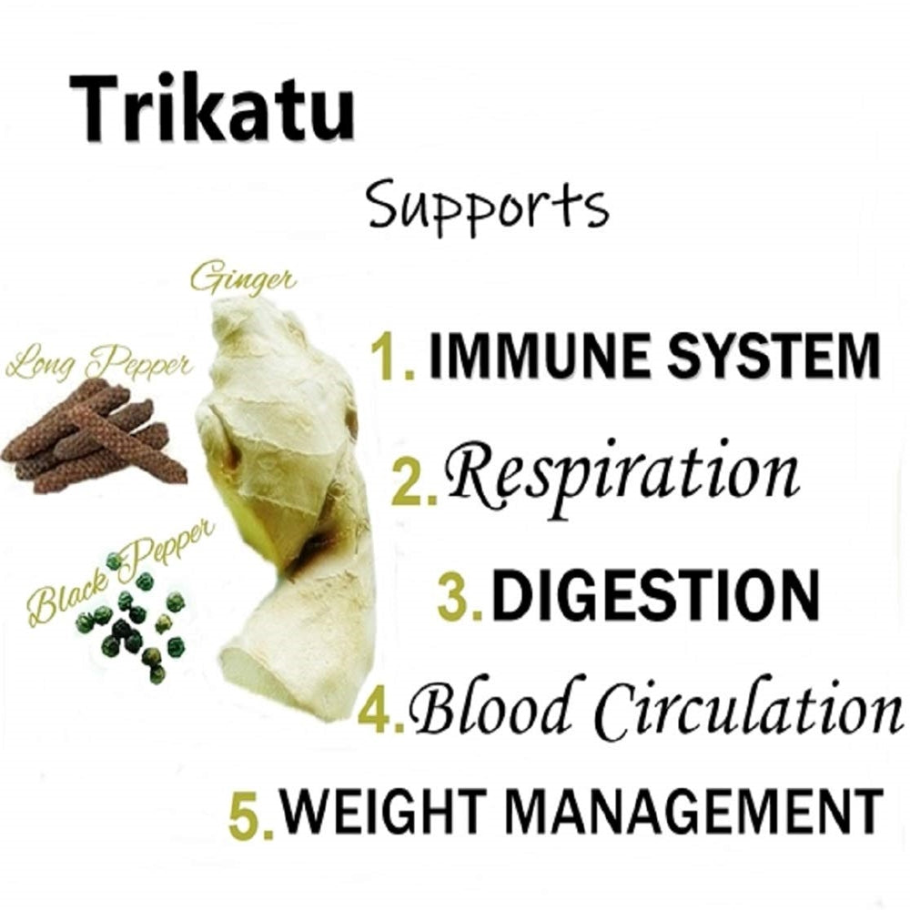 Himalaya Wellness Pure Herbs Trikatu Digestive Wellness Himalaya Wellness Pure Herbs Trikatu Digestive Wellness
