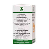 Dr. Willmar Schwabe India Magnesium Phosphoricum Pentarkan Ptk 60 Tablets