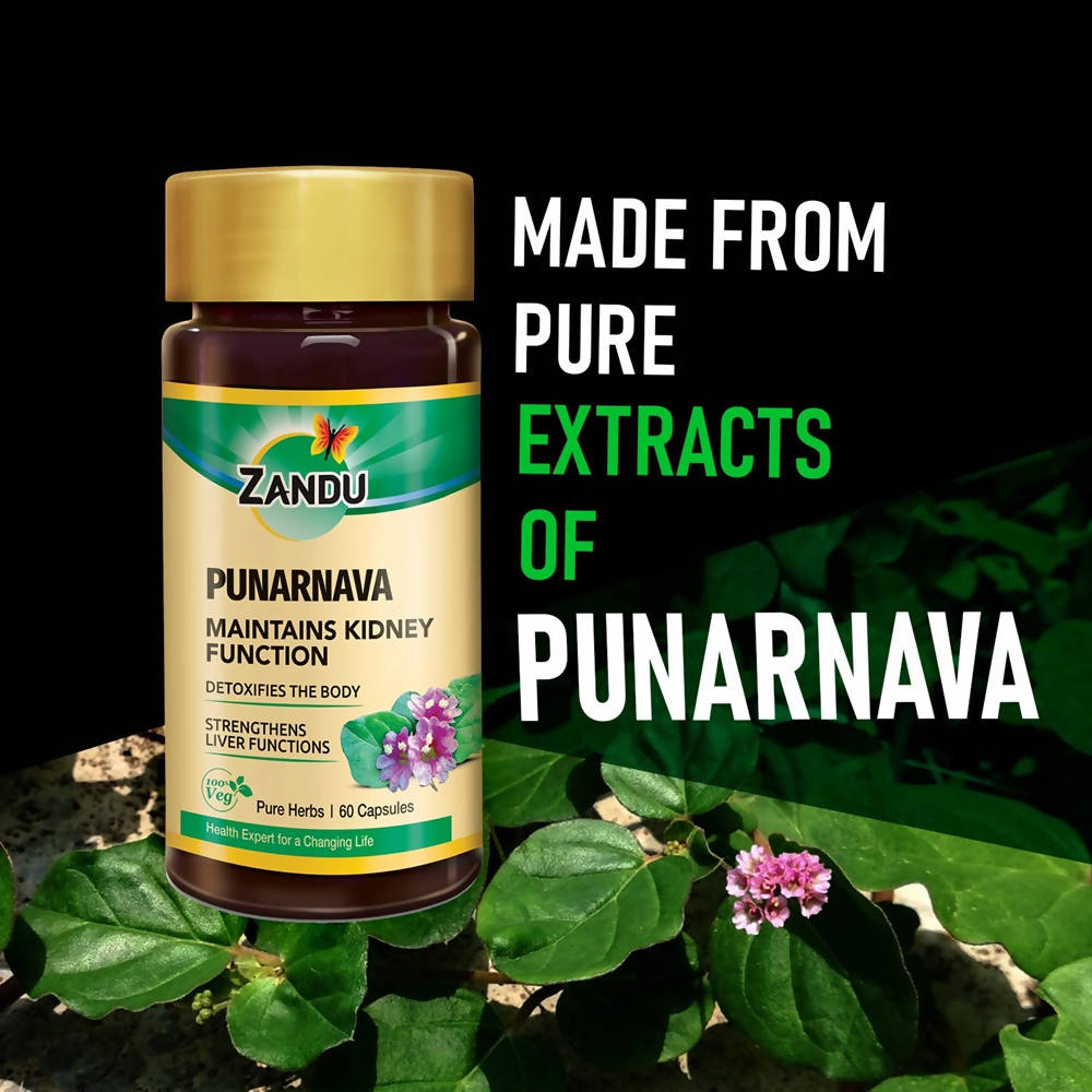 Zandu Punarnava Capsules Zandu Punarnava Capsules