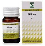 Dr. Willmar Schwabe India Silicea Biochemic Tablets