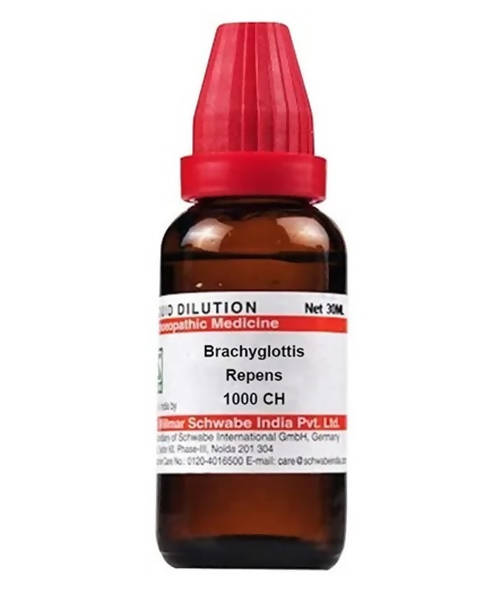 Dr. Willmar Schwabe India Brachyglottis Repens Dilution Dr. Willmar Schwabe India Brachyglottis Repens Dilution