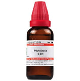 Dr. Willmar Schwabe India Phytolacca Dilution - Safuron Naturals