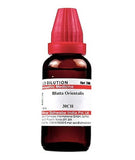 Dr. Willmar Schwabe India Blatta Orientalis Dilution