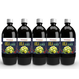 Patanjali Amla Juice - safuroncart