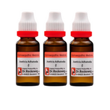 Bakson's Spondy Aid Drops - Safuron Naturals