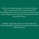 Biotique Bio Kelp Protein Shampoo For Falling Hair