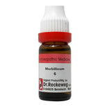 Dr. Reckeweg Morbillinum Dilution - Safuron Naturals