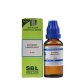 SBL Homeopathy Bothrops Lanceolatus Dilution - Safuron