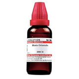 Dr. Willmar Schwabe India Blatta Orientalis Dilution