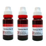 Dr. Reckeweg Carduus Mar Mother Tincture Q - Safuron Naturals