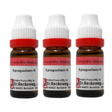 Dr. Reckeweg Lycopodium Dilution - Safuron Naturals