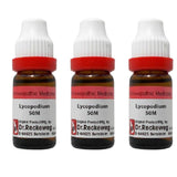 Dr. Reckeweg Lycopodium Dilution - Safuron Naturals