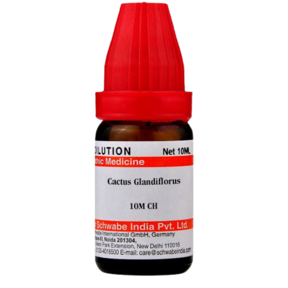 Dr. Willmar Schwabe India Cactus Grandiflorus Dilution 10M CH Dr. Willmar Schwabe India Cactus Grandiflorus Dilution 10M CH