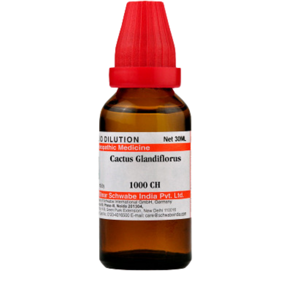 Dr. Willmar Schwabe India Cactus Grandiflorus Dilution 1000CH Dr. Willmar Schwabe India Cactus Grandiflorus Dilution 1000CH