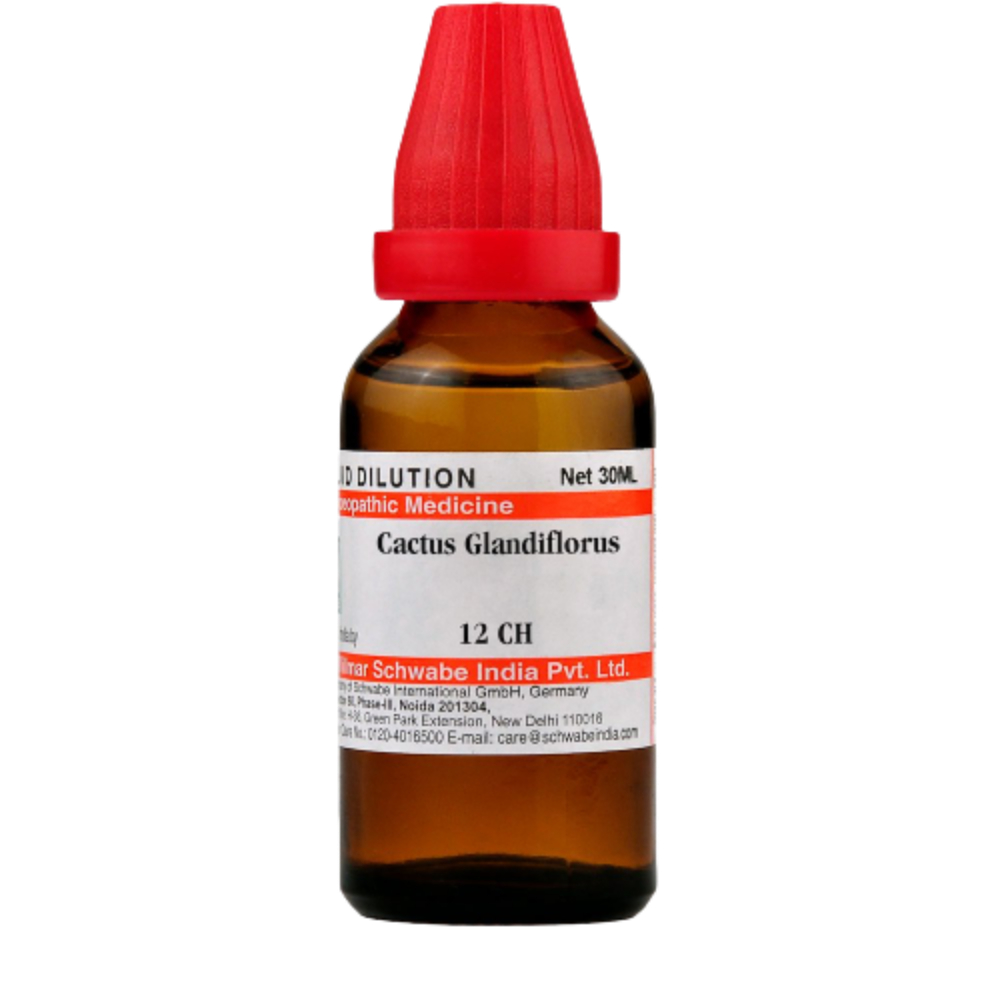 Dr. Willmar Schwabe India Cactus Grandiflorus Dilution 12CH Dr. Willmar Schwabe India Cactus Grandiflorus Dilution 12CH