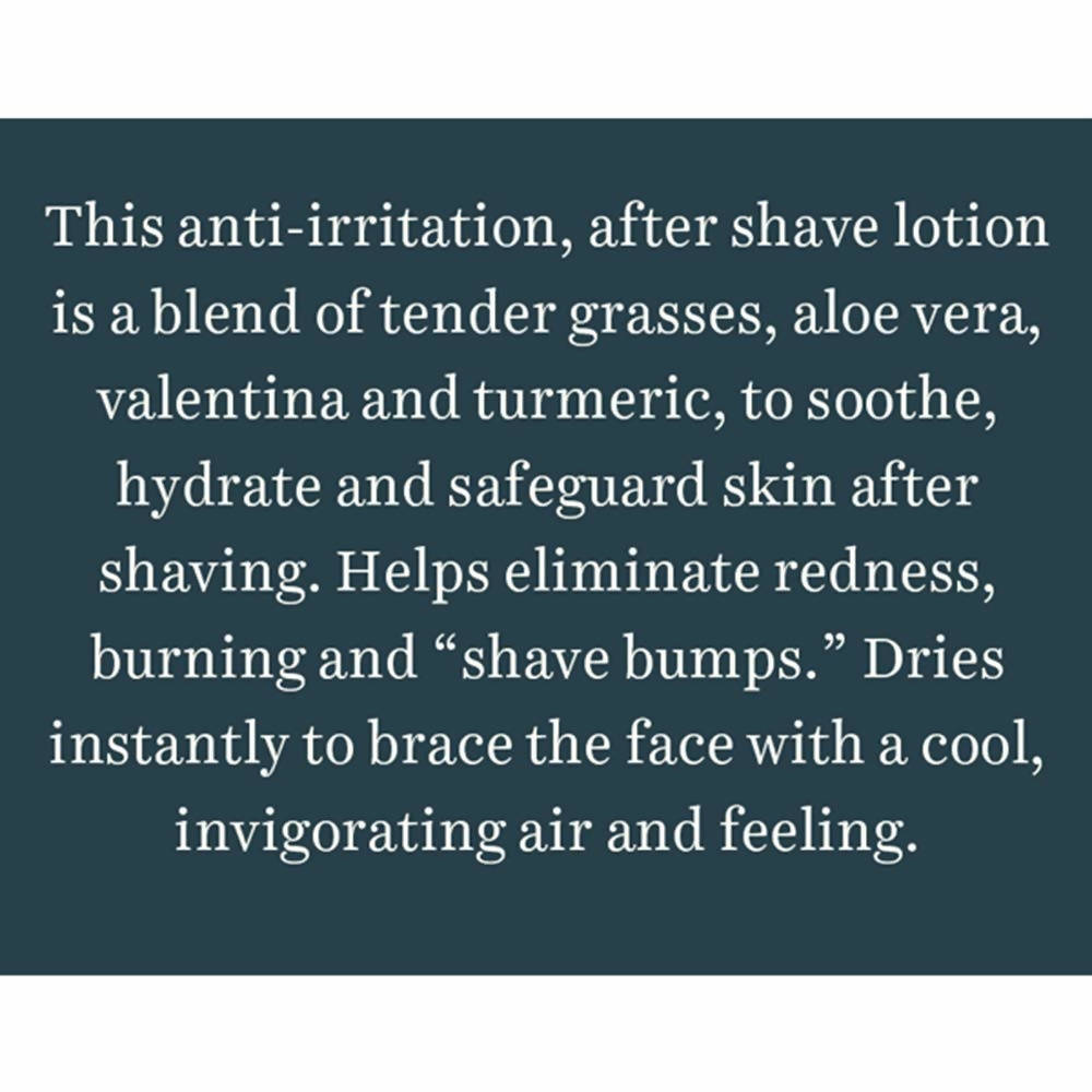 Biotique Bio Wild Grass A Soothing After Shave Gel For Men Biotique Bio Wild Grass A Soothing After Shave Gel For Men