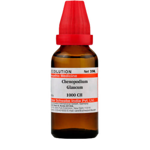 Dr. Willmar Schwabe India Chenopodium Glaucum Dilution - Safuron Naturals Dr. Willmar Schwabe India Chenopodium Glaucum Dilution - Safuron Naturals