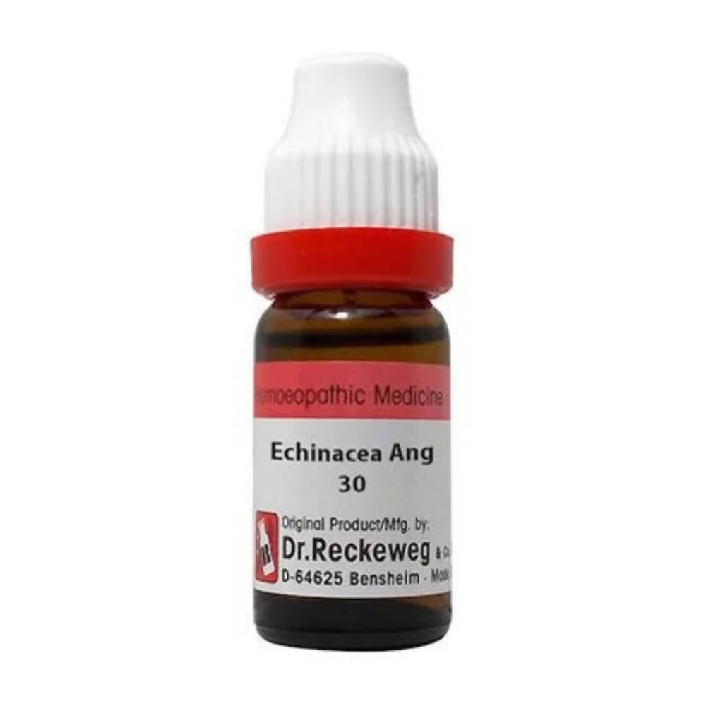 Dr. Reckeweg Echinacea Ang Dilution - Safuron Naturals Dr. Reckeweg Echinacea Ang Dilution - Safuron Naturals