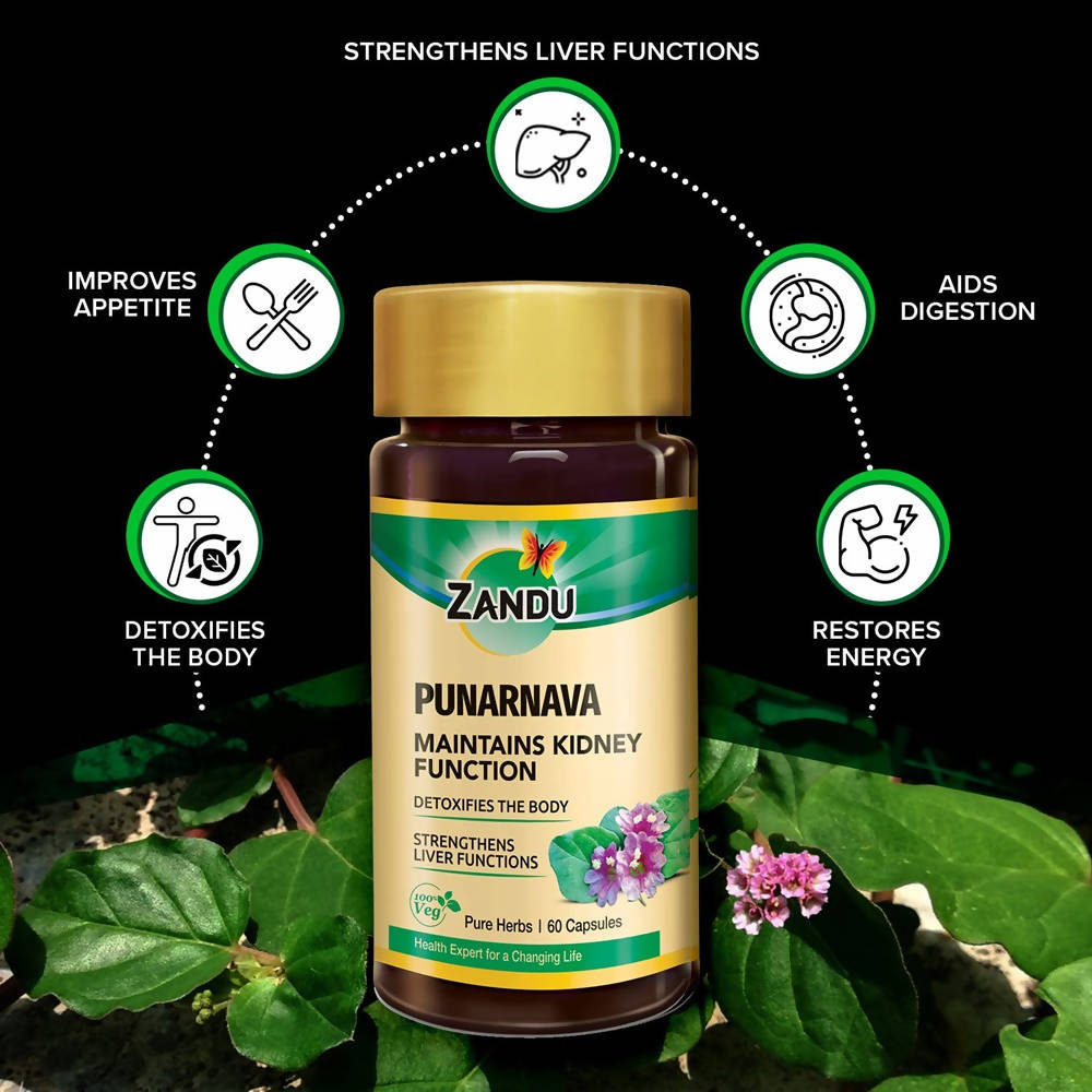 Zandu Punarnava Capsules Zandu Punarnava Capsules