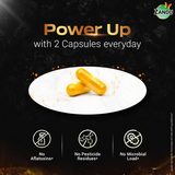 Zandu SJ Gold Plus Capsules