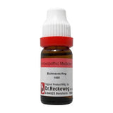 Dr. Reckeweg Echinacea Ang Dilution - Safuron Naturals