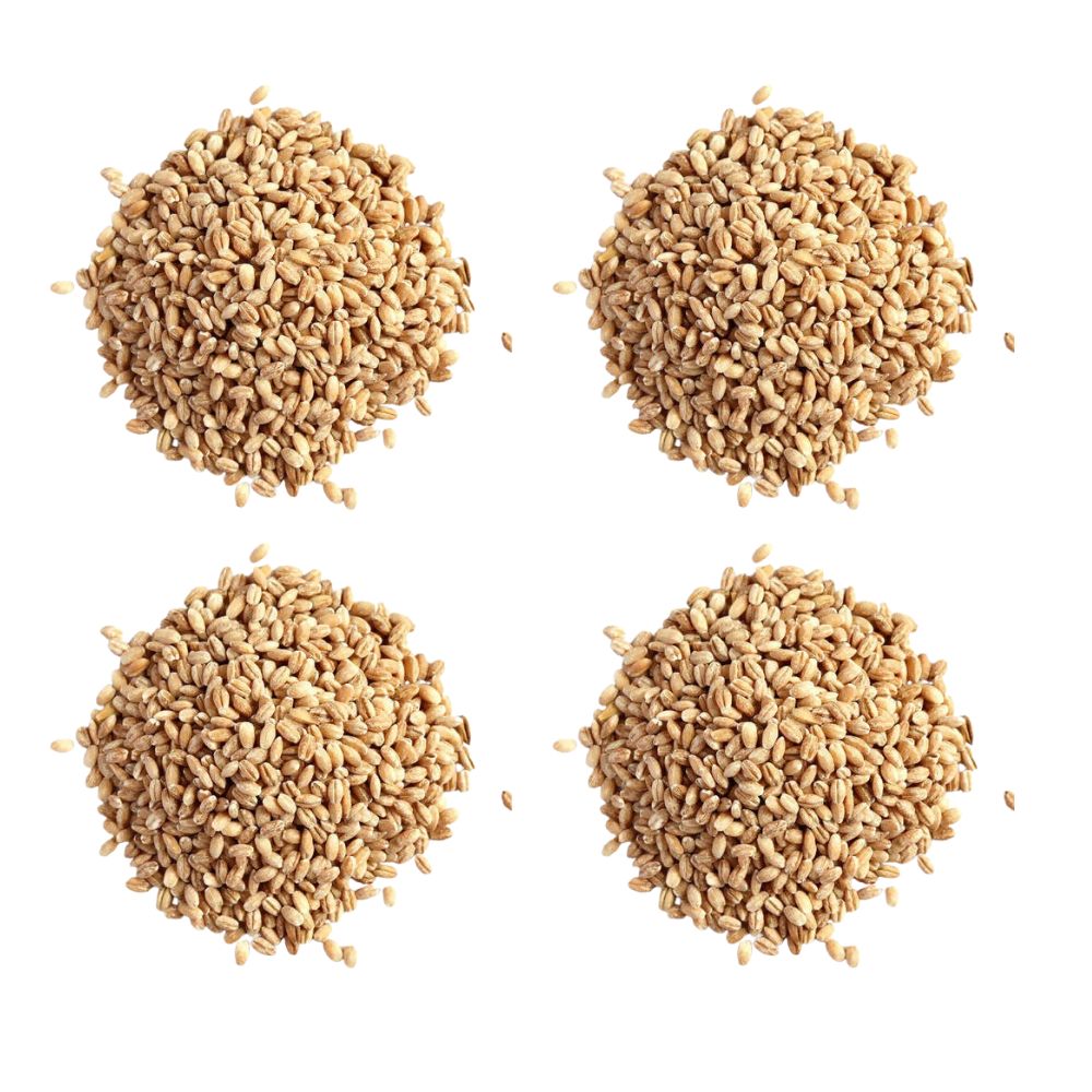 Hebsur Herbals Barley Seeds - Safuron