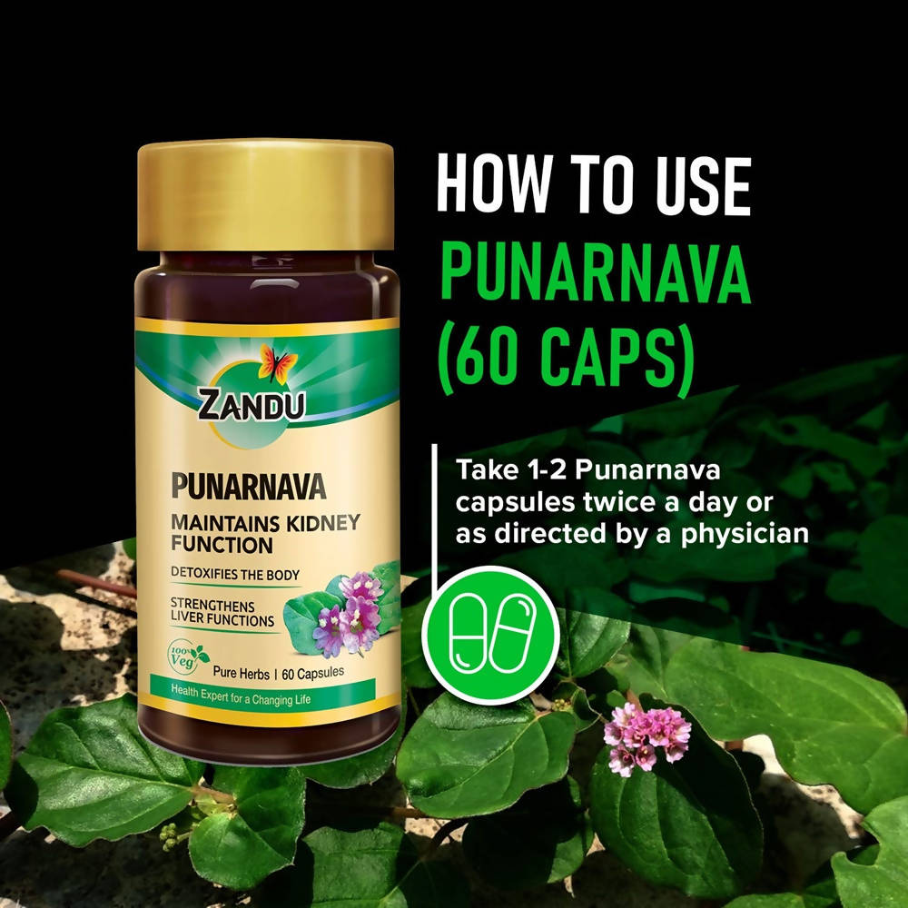 Zandu Punarnava Capsules Zandu Punarnava Capsules