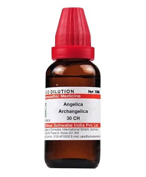 Dr. Willmar Schwabe India Angelica Archangelica Dilution Dr. Willmar Schwabe India Angelica Archangelica Dilution
