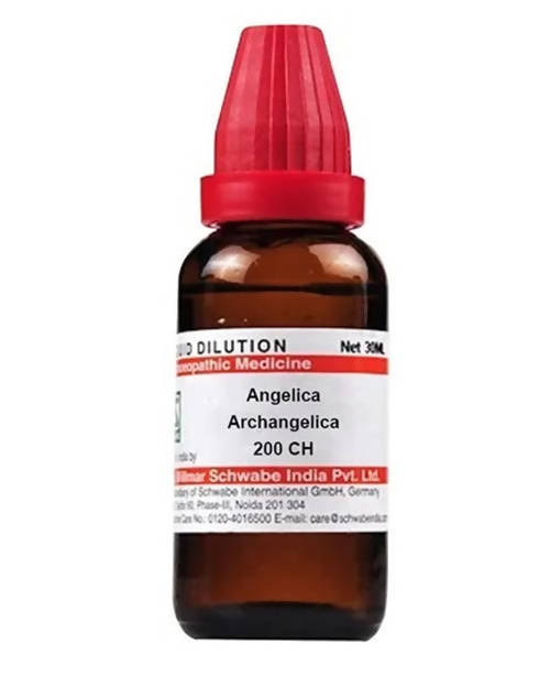 Dr. Willmar Schwabe India Angelica Archangelica Dilution Dr. Willmar Schwabe India Angelica Archangelica Dilution