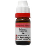 Dr. Reckeweg Solidago Virgaurea Dilution - Safuron Naturals