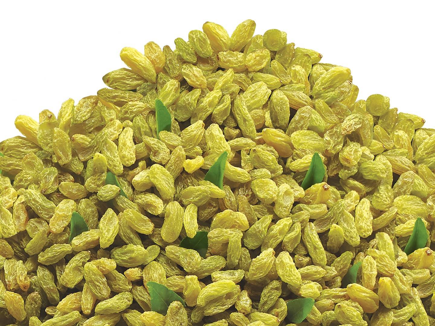 Bikanervala Kishmish (raisins) - Safuron