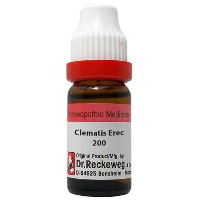 Dr. Reckeweg Clematis Erec Dilution - Safuron Naturals Dr. Reckeweg Clematis Erec Dilution - Safuron Naturals