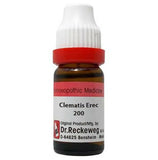 Dr. Reckeweg Clematis Erec Dilution - Safuron Naturals