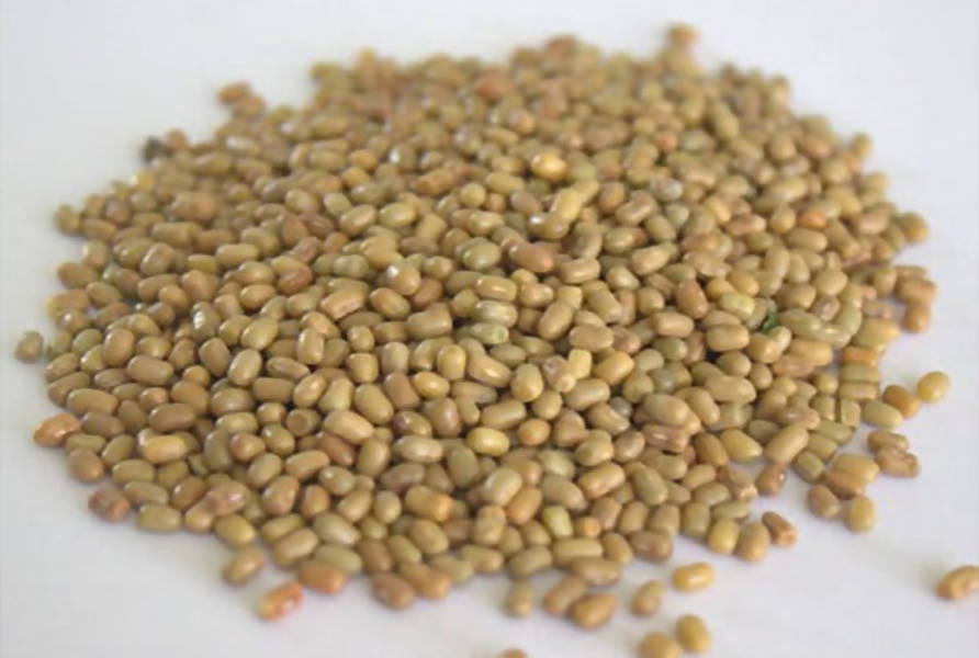 Freshon Natural Madike Kalu - Safuron