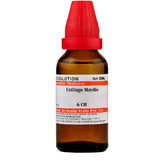 Dr. Willmar Schwabe India Ustilago Maydis Dilution