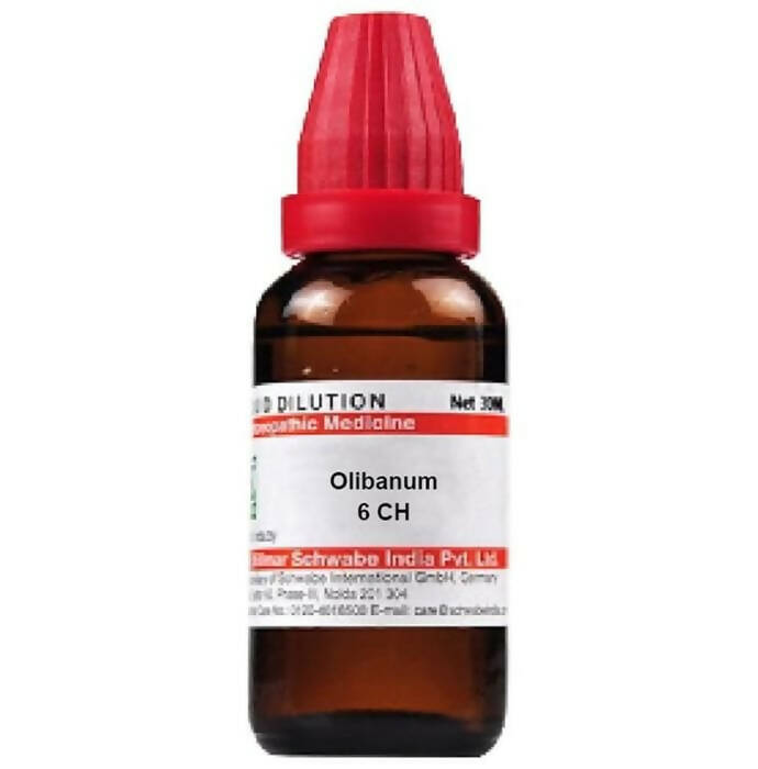 Dr. Willmar Schwabe India Olibanum Dilution - Safuron Naturals